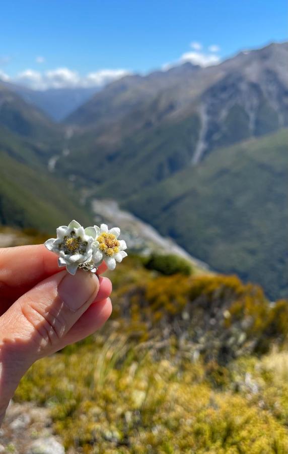 Arthur'S Pass Motel & Lodge 외부 사진